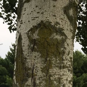 Meet your Posher, Abril